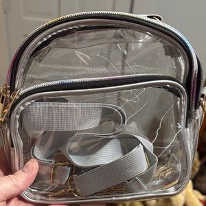 Transparent Clear Crossbody Bag with Gray Accents